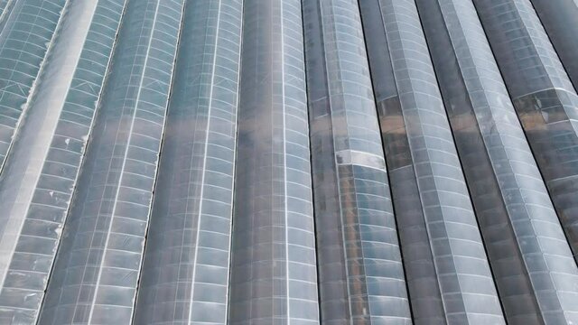 Aerial top view of greenhouse plant. Camera moving side to side over the pellicle roof. at bright sunlight on autumn day aerial view