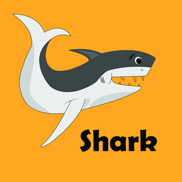 Big shark cartoon illustration images