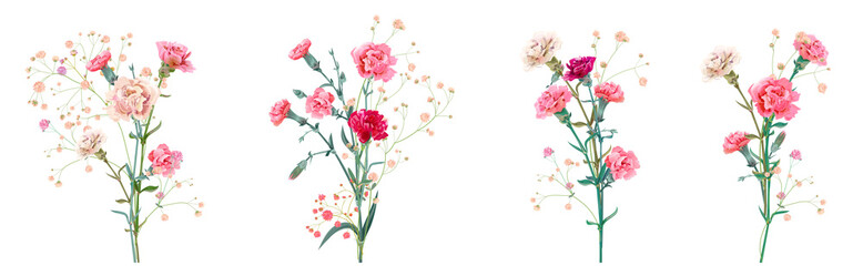 Panoramic view with carnation. Set red, pink, white flowers, gypsophila twigs, white background, collection for Mother's Day, Victory Day, digital draw, vintage illustration, vector, watercolor style