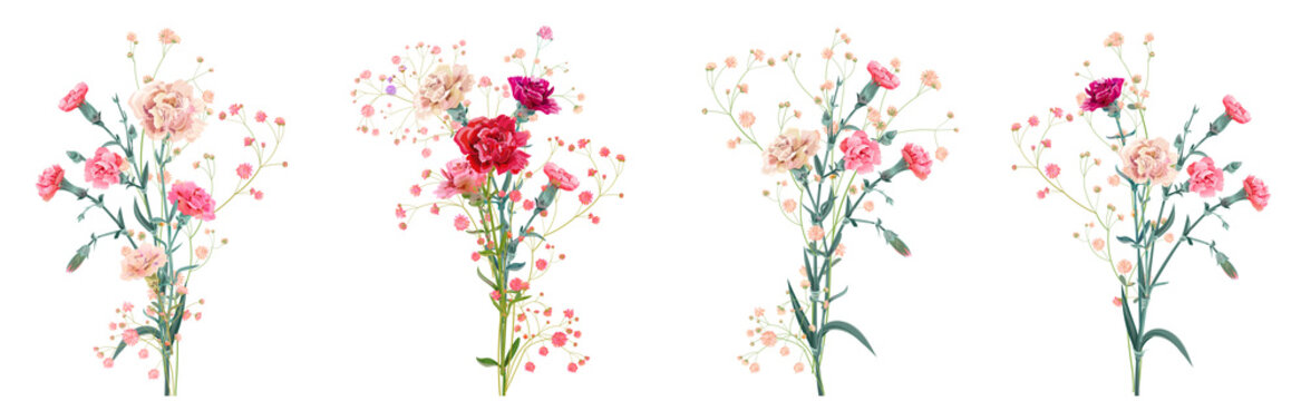 Panoramic view with carnation. Set red, pink, white flowers, gypsophila twigs, white background, collection for Mother's Day, Victory Day, digital draw, vintage illustration, vector, watercolor style