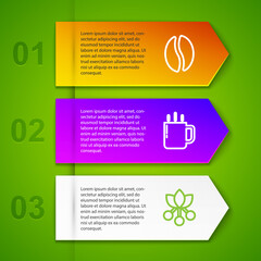 Set line Coffee beans, cup, bean, branch and to go. Business infographic template. Vector