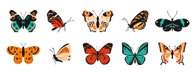 Cartoon butterflies. Colorful spring and summer flying insects with pattern elements on wings. Vector isolated set