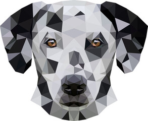 Naklejka premium Portrait of a dog of breed Dalmatian in low poly style. Very friendly and kind. Vector illustration