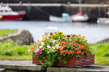 Red wooden flowerbed with colorful flowers of different types in a public garden. Boats out of focus in the background. Summer floral decoration in a park. Beautiful colors of nature concept