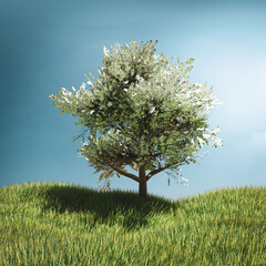3D illustrations. Tree money on grass field with blue sky. Money concept.
