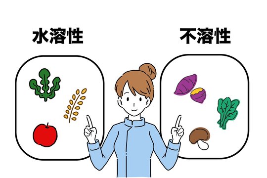 海藻類 の画像 3 1 件の Stock 写真 ベクターおよびビデオ Adobe Stock