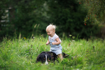 funny emotional toddler toddler in the summer in the park with a big dog of the Bernese mountain dog breed, the child is afraid of the big dog, the safety of children and animals
