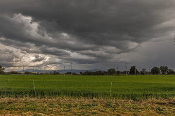 temporale in campagna