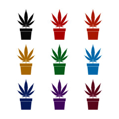 Medical marijuana or cannabis plant in pot icon isolated on white background color set