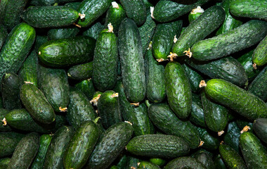 image of fresh cucumber background 
