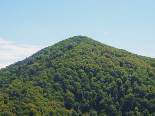 Obraz premium Mountain peak overgrown with green dense forest against the blue sky