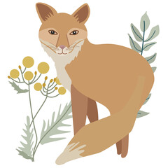 Looking fox and flowers in scandinavian nordic style vector illiustration