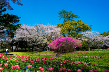 別府公園