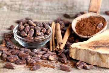 Cocoa beans in a glass bowl on a wooden background and sprinkled on the floor. Powdered cocoa and cinnamon sticks in a spoon