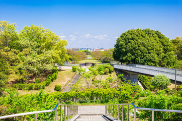 新緑の公園　多摩ニュータウン