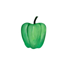 Gouache hand-drawn green pepper isolated on a white background.