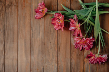 Fototapeta na wymiar Bouquet of beautiful tulips on a wooden table.