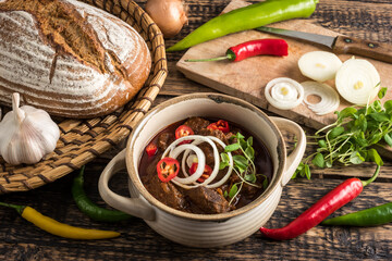 Traditional Hungarian beef goulash with garlic, bread and paprika, garnished with chopped onion and fresh marjoram