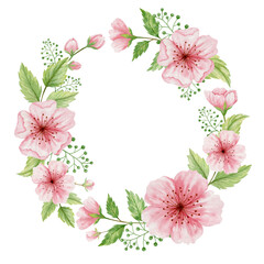 Watercolor blooming cherry wreath Isolated on white background. Sakura composition