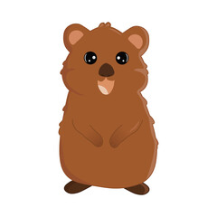 Illustration with quokka. Isolated on white background. For books, children's books, books about animals, stickers, magazines, design, factories, business