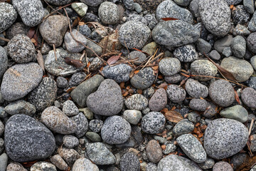 scattered speckled rocks on ground on milford shore