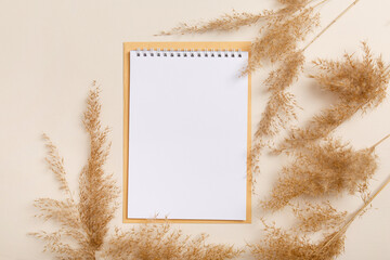 blank notebooks with white paper and dry pampas grass on crumpled brown kraft-paper background....