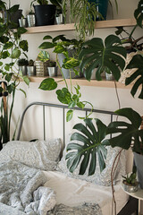 urban jungle interiour with tropical frowers in bedroom