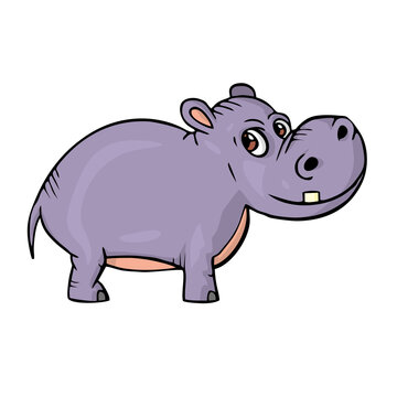 Hippopotamus on white background Cute Cartoon animal Vector illustration