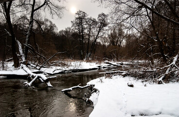 The river in the forest, the contrast of black water and white snow, the golden reflection of the sun trembles in the water. Moscow region, Russia.