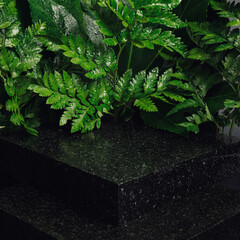 Natural product podium made with marble, stone, leaves and frame on black background. Concept stage...