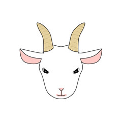 正面から見た白色のヤギの顔