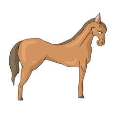 Horse on white background Cute Cartoon Vector illustration