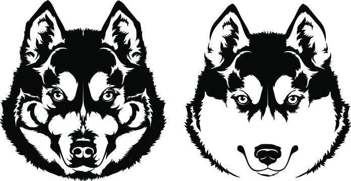 Beautiful black white dog head (muzzle) breed husky or wolf
A set of elements for the logo or cutting out of needlework