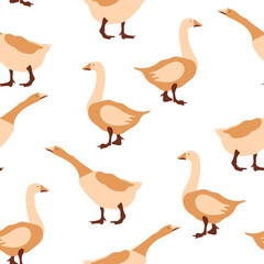 Vector image of a goose. Multi-colored segments. Agriculture. Vector illustration.