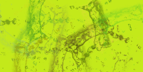 abstract colorful watercolor background bg wallpaper art with splash