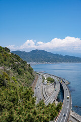 Obraz na płótnie Canvas 薩埵(さった)峠展望台から富士山を望む
