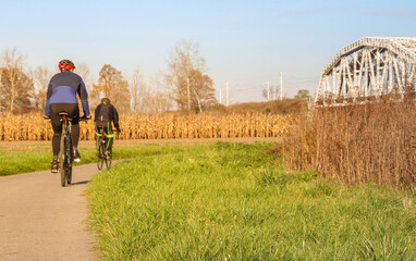 Młodzi ludzie jadą na rowerze w słoneczny dzień - obrazy, fototapety, plakaty
