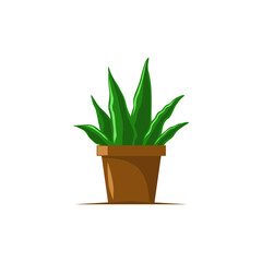 potted plant vector illustration. fit for home decoration or garden. flat color style