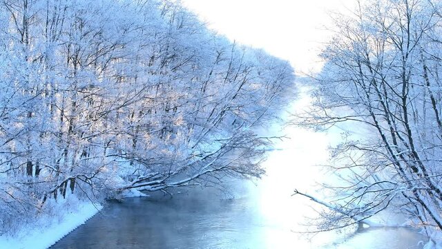 霧氷に覆われた木々と釧路川