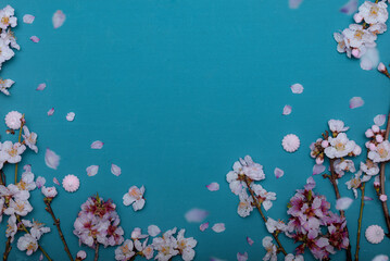 Fototapeta na wymiar blossom background