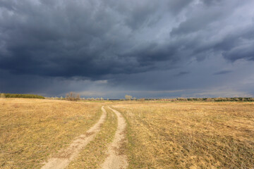 Fototapeta premium pathway in steppe before thunderstorm