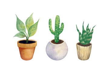 Set of houseplants isolated on white background. Green indoor plants in ceramic, wooden, and clay flower pots. Cute hand-drawn illustration