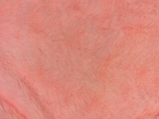 Pink fur texture top view. Coral fluffy fabric coat background. Winter fashion color trends feminine flat lay, female blog rose backdrop for text sign desidgn. Girly abstract wallpaper textile surface