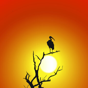 Sunset view with Bird seating on a tree branch 