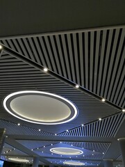 decorative and stylish ceiling lighting