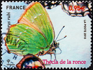 Postage stamp France 2010 green hairstreak, butterfly