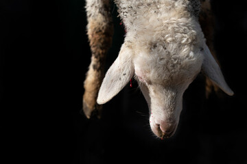 Close-up and detail of a lamb that is traditionally slaughtered. The head and forefeet hang down in...
