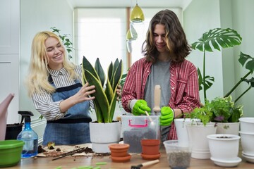 Teenagers guy and girl planting houseplant in pot