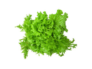 isolated green leaves salad lettuce vegetable with clipping path on white background a top view closeup texture of fresh hydroponic frill ice iceberg salad leaf with water drops for healthy food