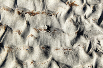 Textures with waves on the beach sand under the sun
